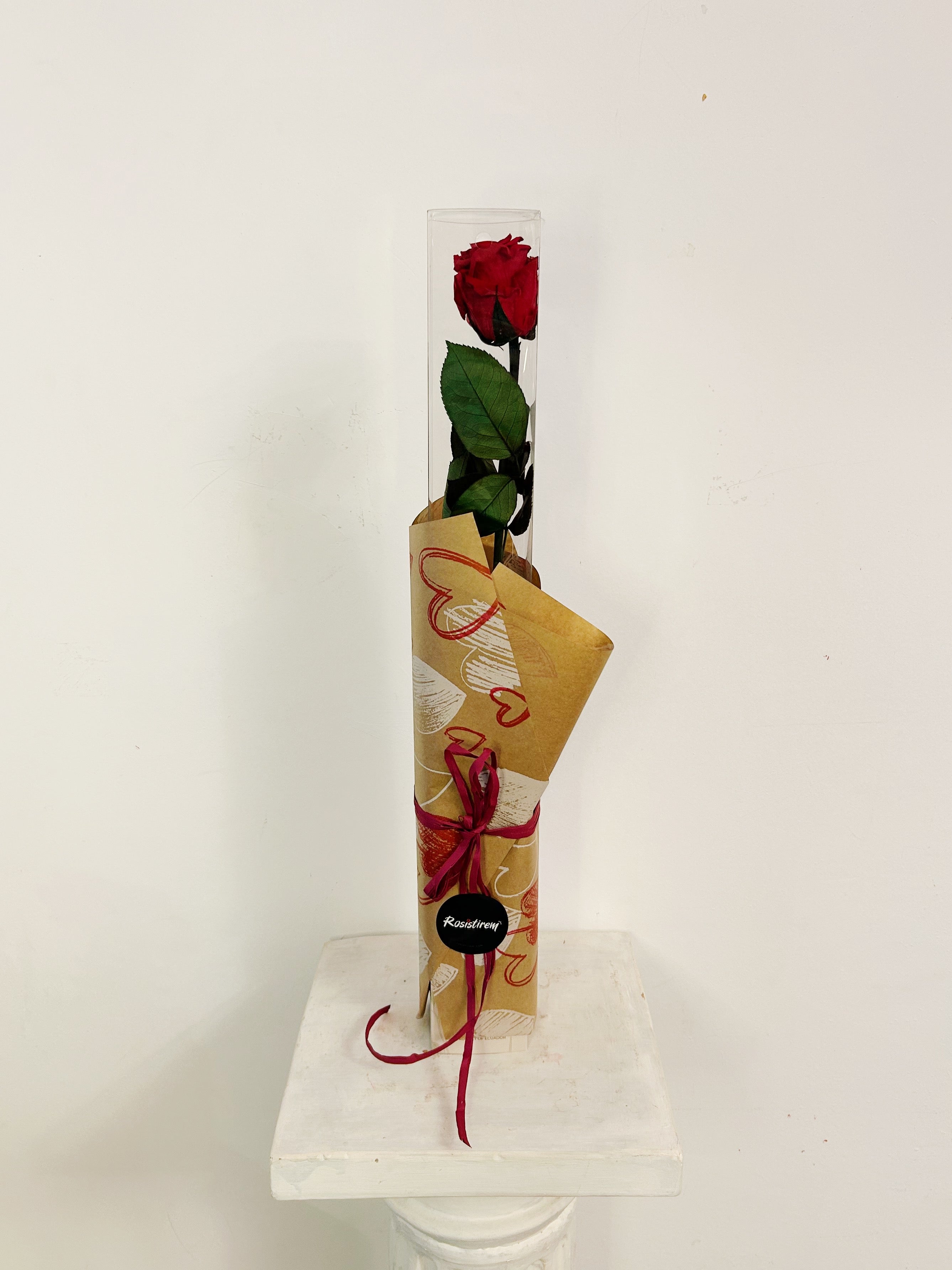 Rosa Preservada Roja 55cm